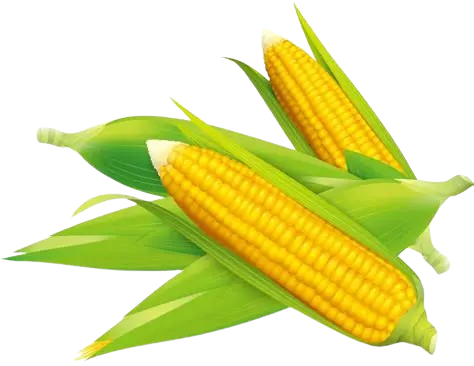 Jagung