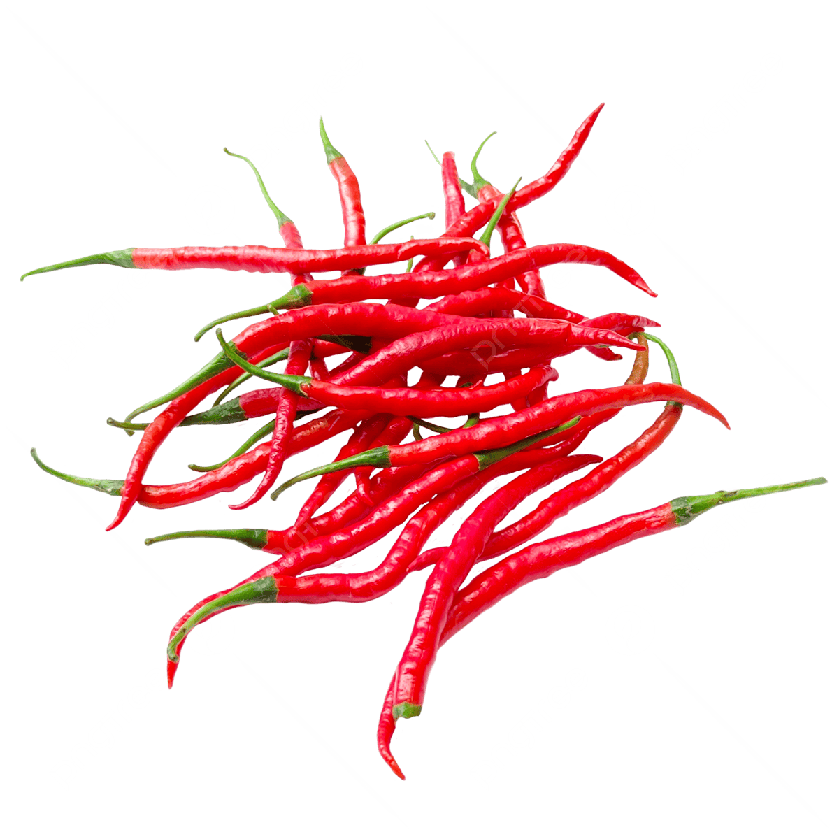 Cabai Merah Keriting