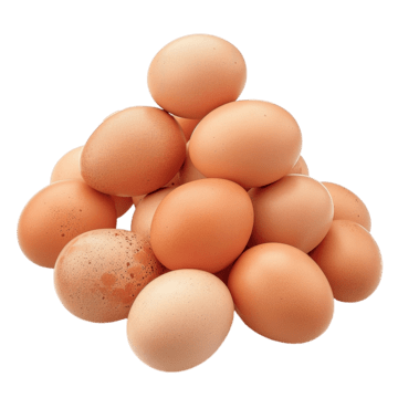 Telur Ayam Ras Segar